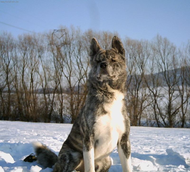 Foto: Zima